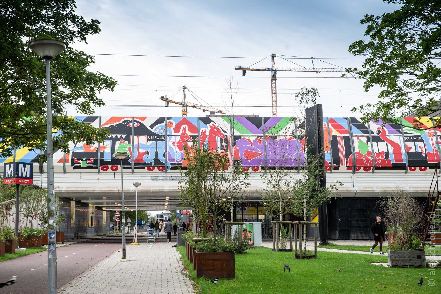 Nabij het spoor bij Amsterdam Bullewijk (fotograaf: Alex Schröder)